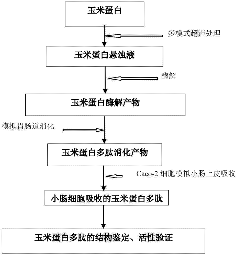 乐鱼体育