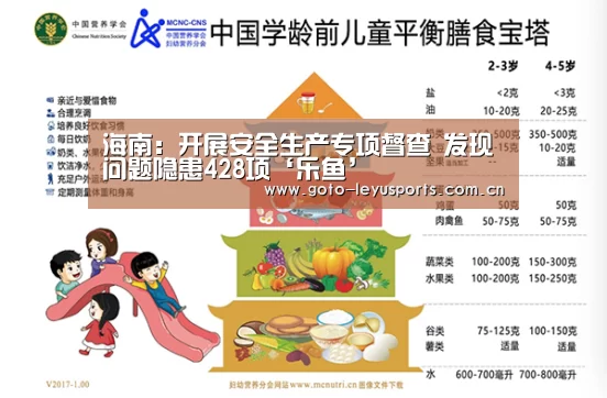 海南:开展安全生产专项督查 发现问题隐患428项‘乐鱼’(图1) 乐鱼